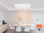 Byecold Infrarood paneel Plafond LED Combi WiFi afbeelding 2